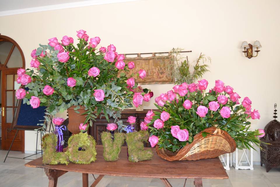Matalahuva Catering