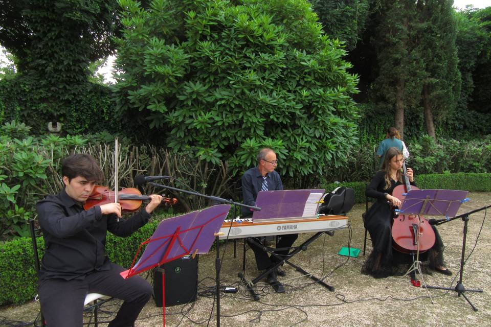 Trio piano Concertino