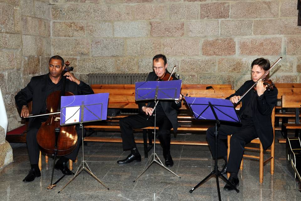 Trío de cuerda Concertino