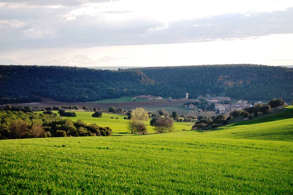 Del Verde al Amarillo