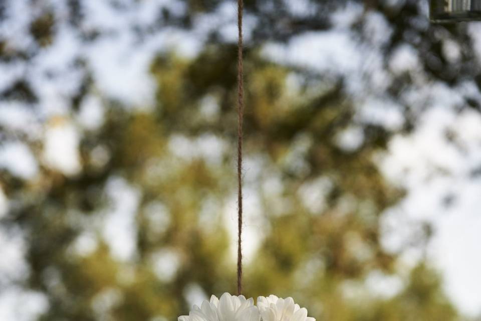 Detalles