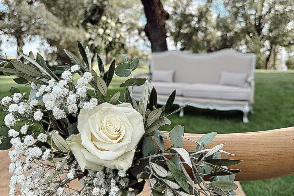 Rosa blanca