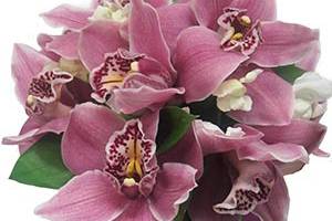 Ramo de novia orquídeas