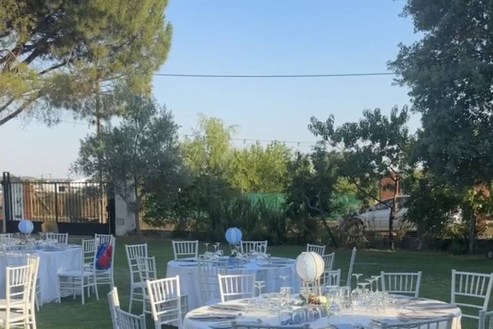 Pico de las palmeras