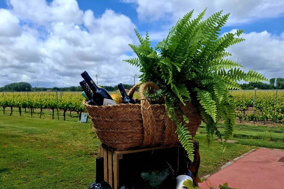 Bodega divina