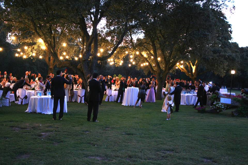 Boda a la luz de la luna