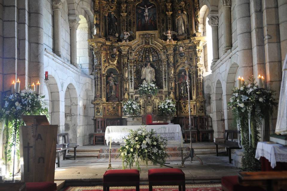 Fiuncho Floristas