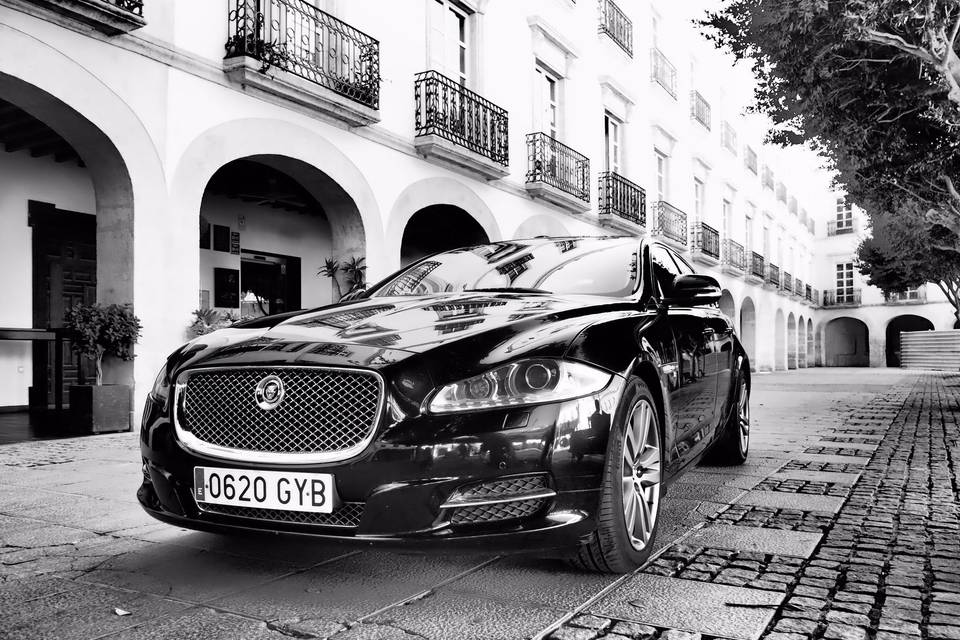 Jaguar xj 351