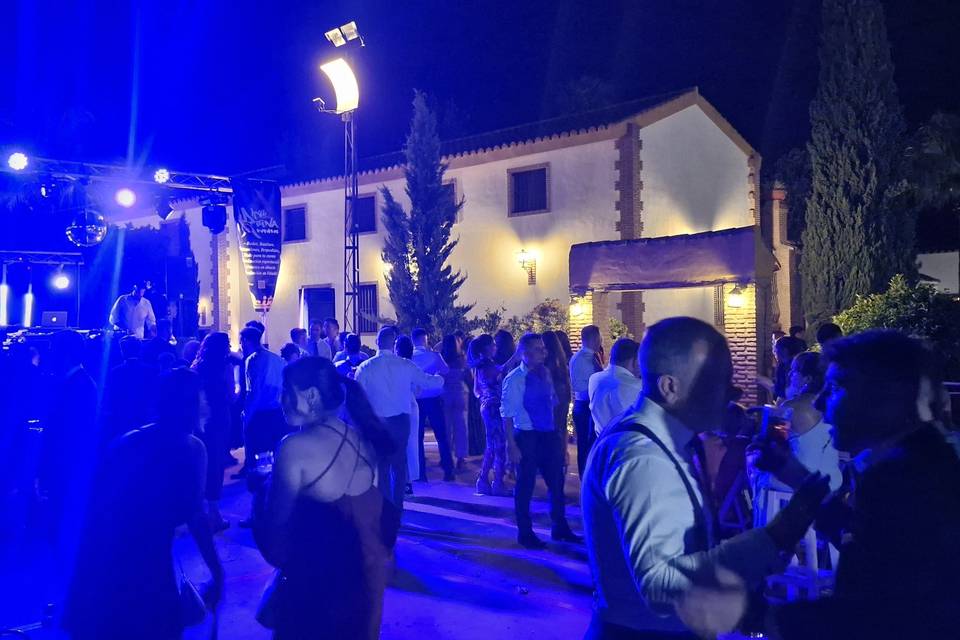 Pista