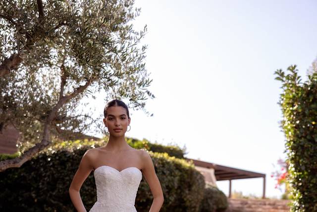 Santos & Eva Novios