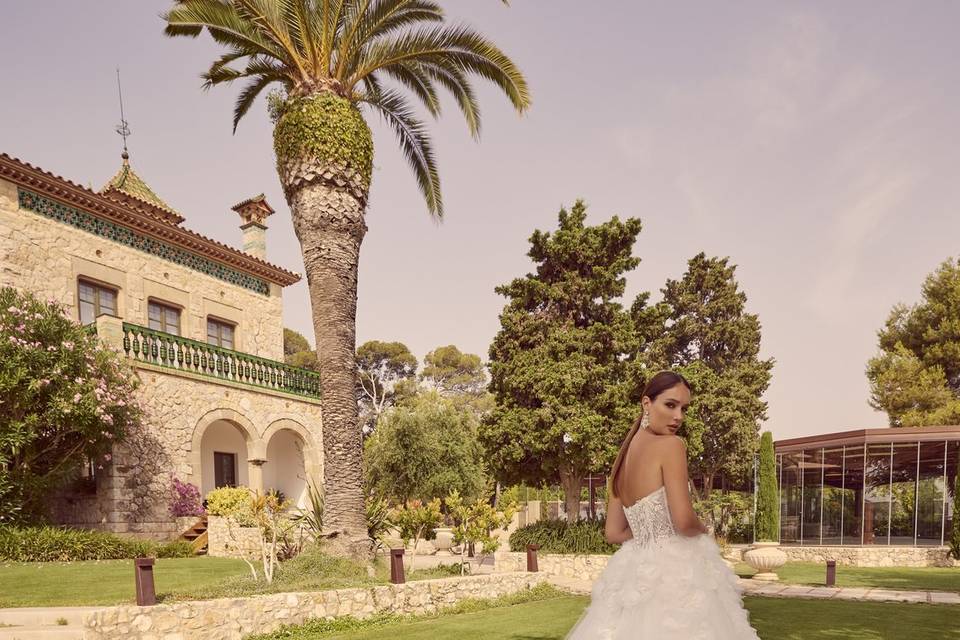 Santos & Eva Novios