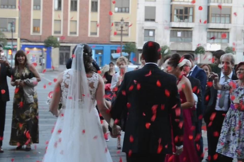 Moon Wedding Videos