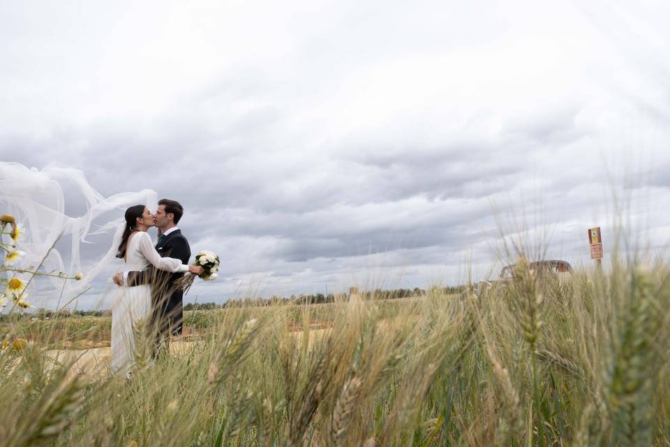 Beso entre hierba alta J&C