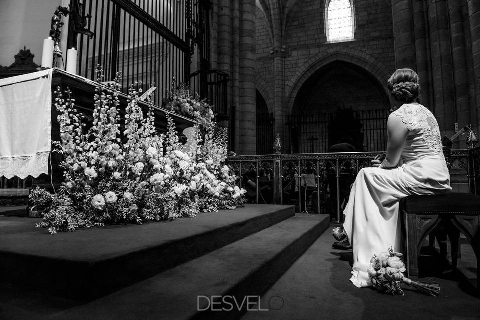 Desvelo agencia