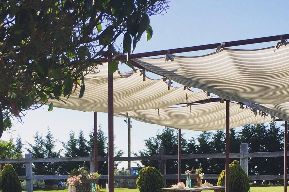 Jardines