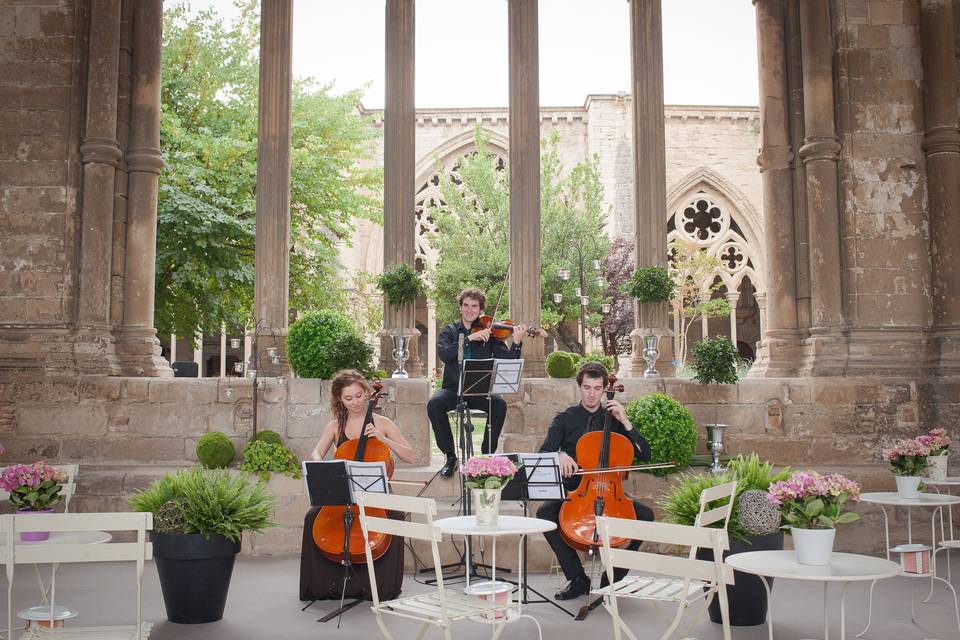 En la Seu Vella