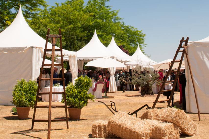 Jardines del Cortijuelo