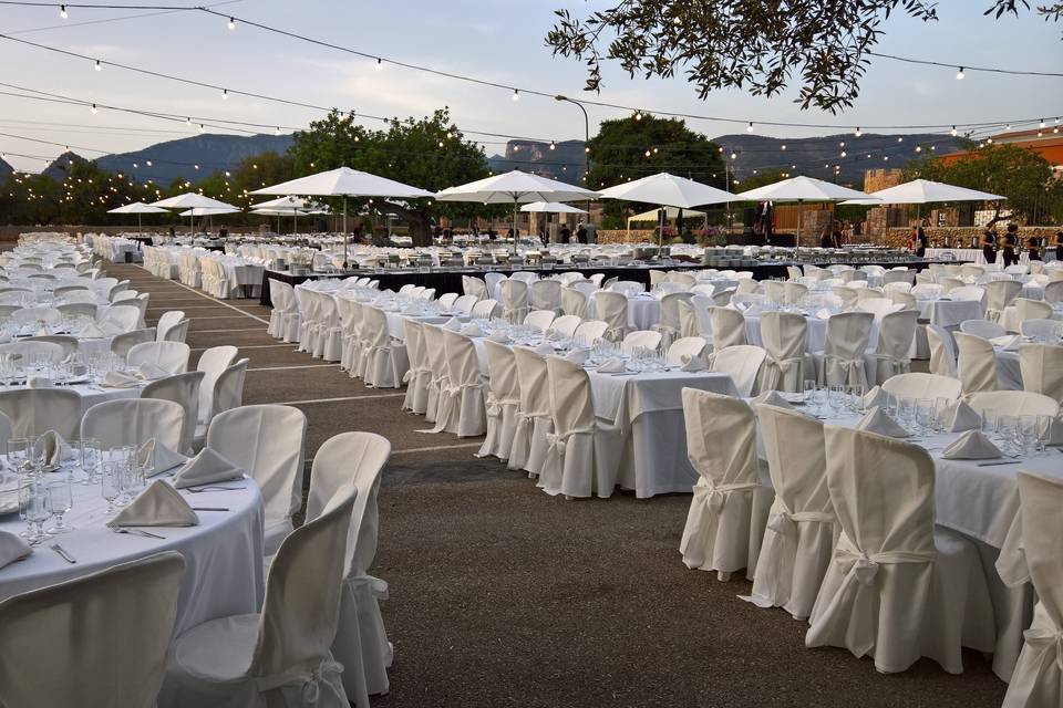 Cena de colectivo médico