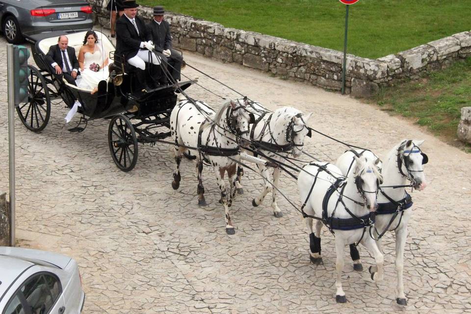 4 caballos - Portugal