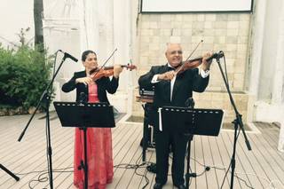 Musibodas