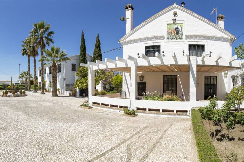 Cortijo Caballo Blanco