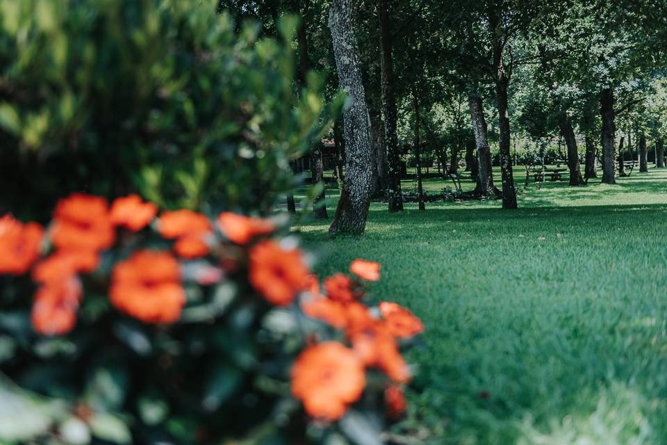 Cenador en jardín