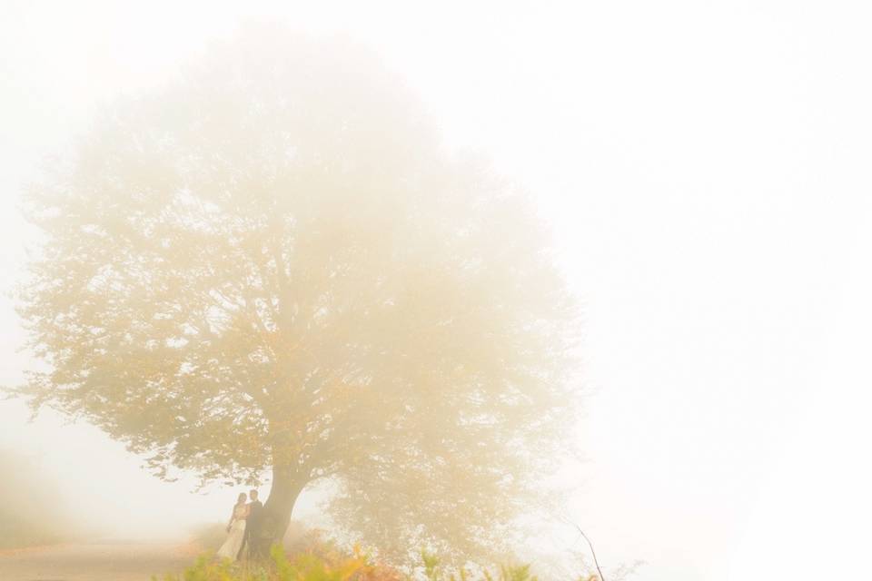 Postboda en Montseny