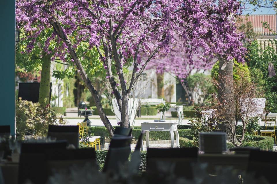 Jardines del Caballo