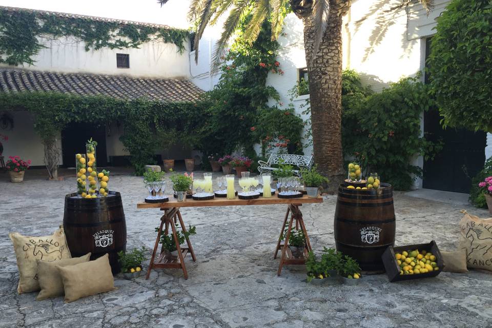 Jardines y Cortijo Caballo Blanco