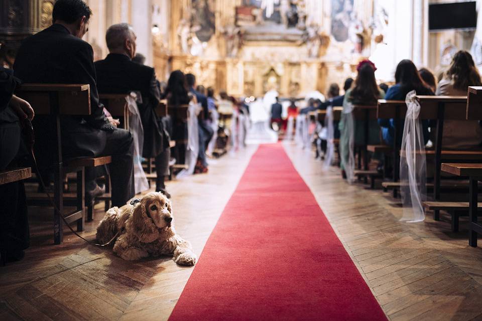 Boda en Zaragoza