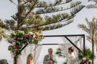 Floristería Violeta