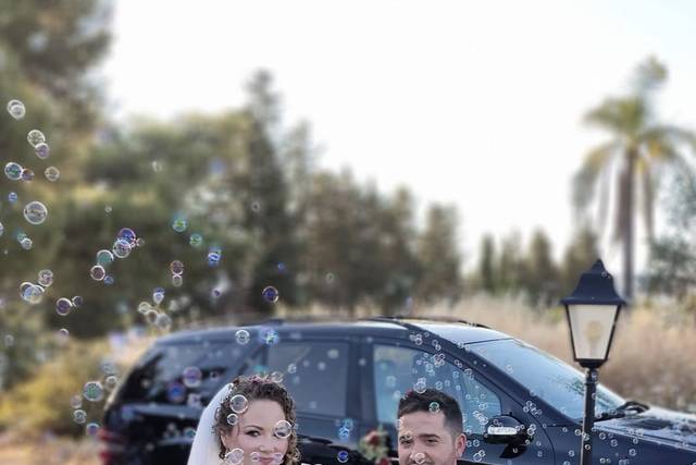 Novios