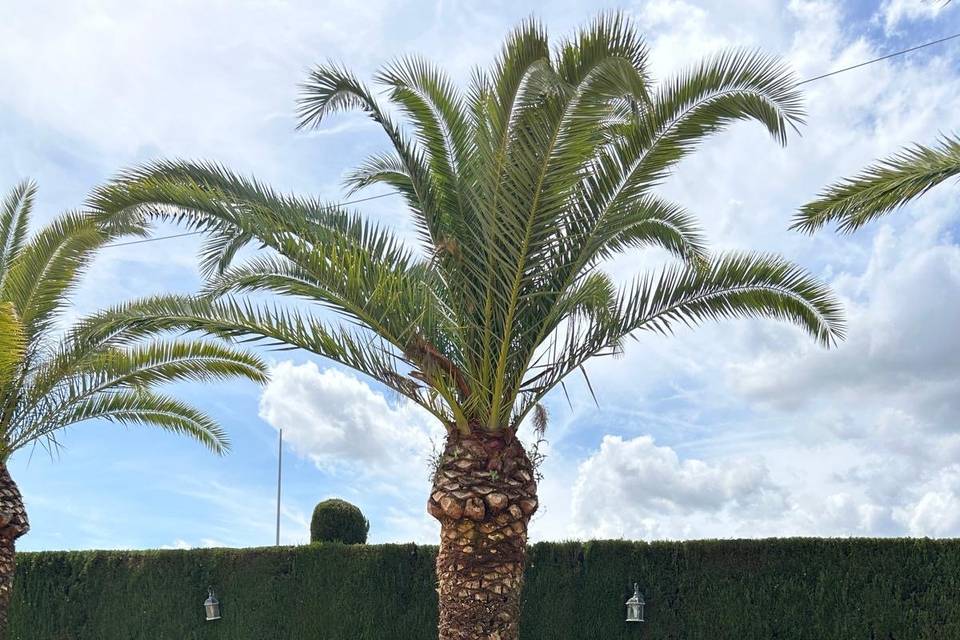 Recepción