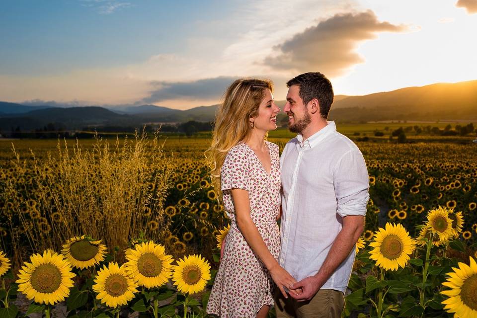 Preboda con girasoles