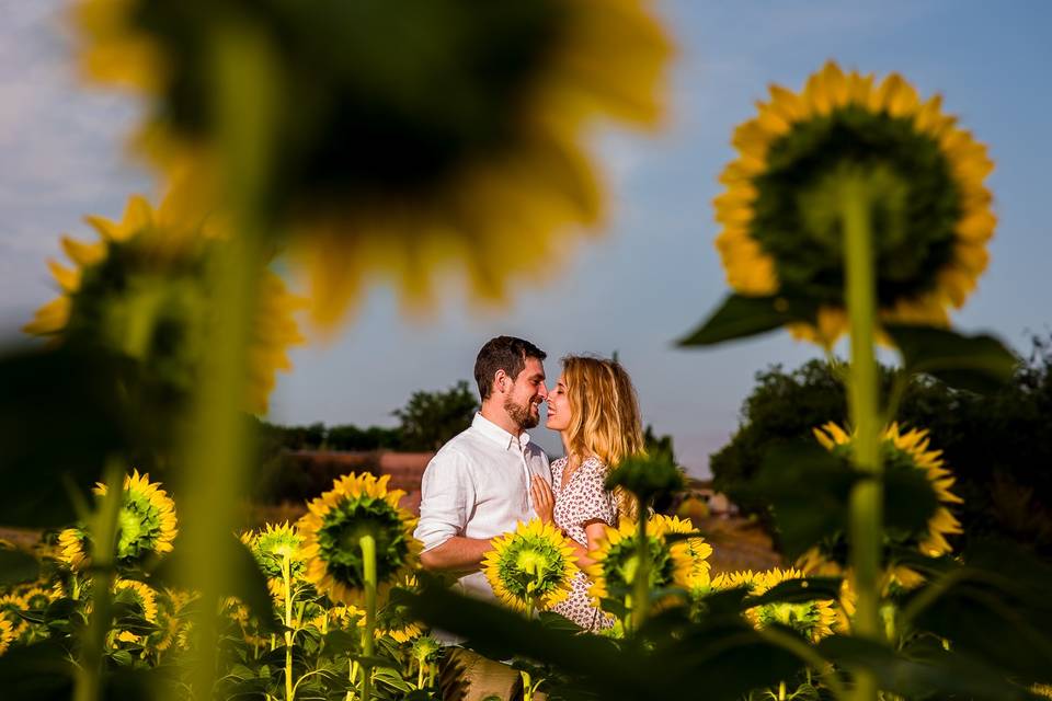 Preboda en Elche