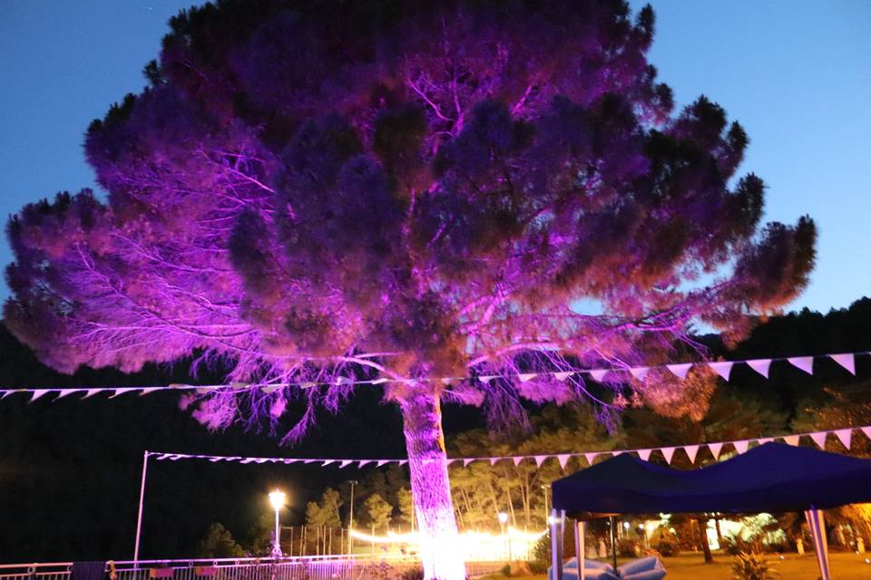 Iluminación de árbol de colores