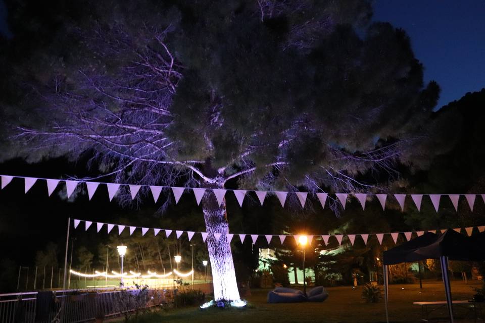 Iluminación de árbol de colores