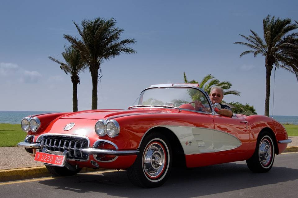 Corvette 1960