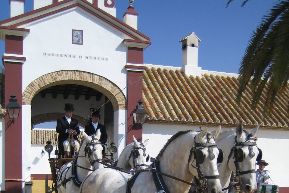 Hacienda de Medina