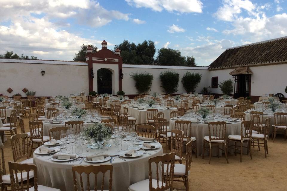 Banquete y decoración