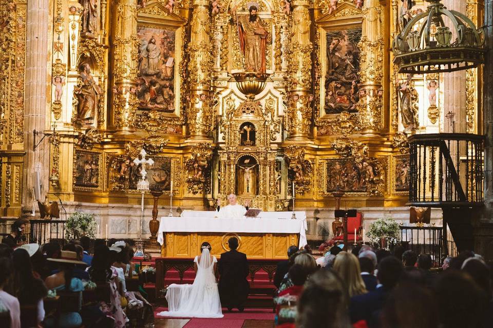 Bodas de oro