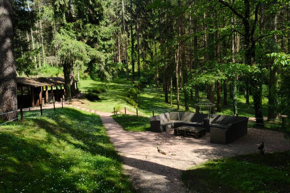 Bosque