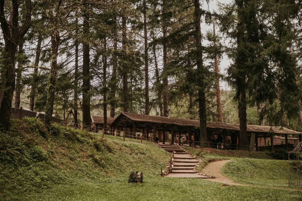 Bosque