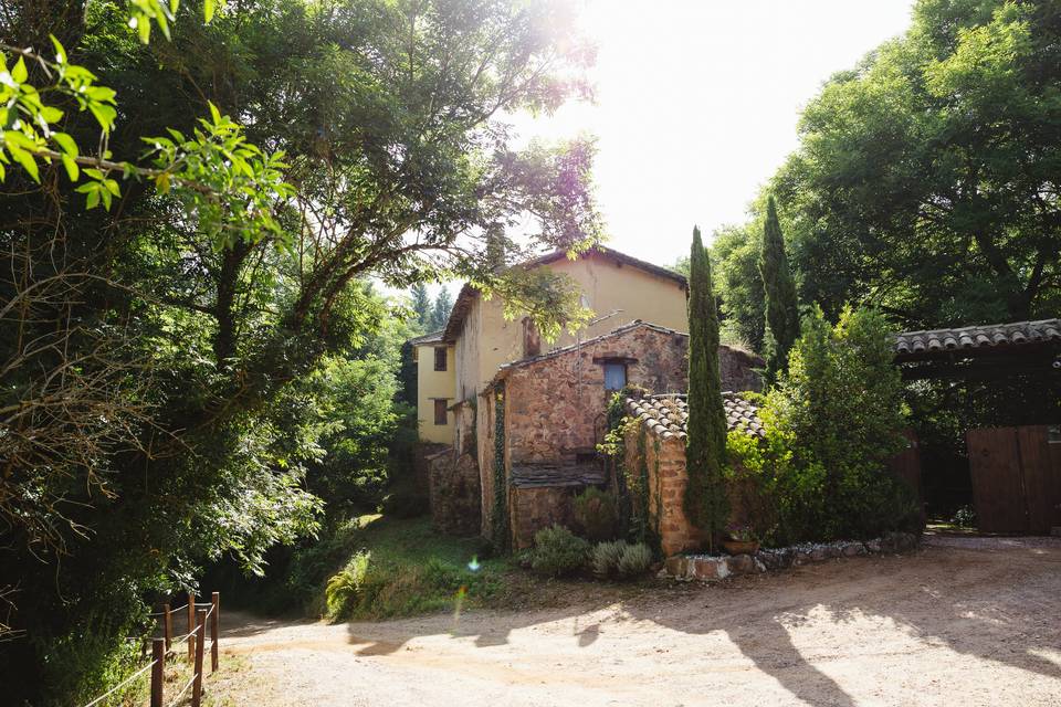 Entrada