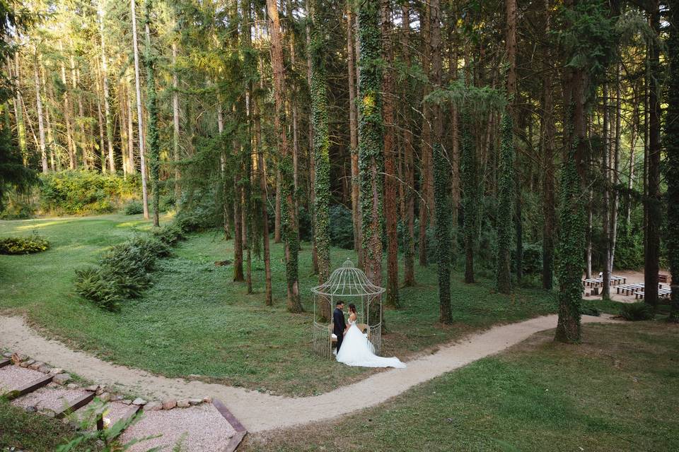 Bosque