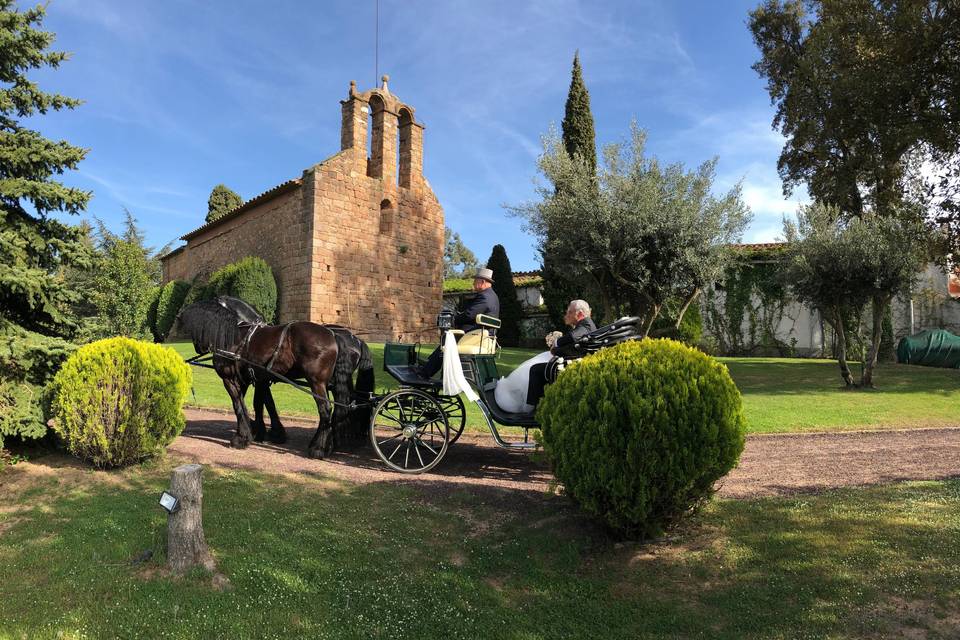 Entrada de la novia