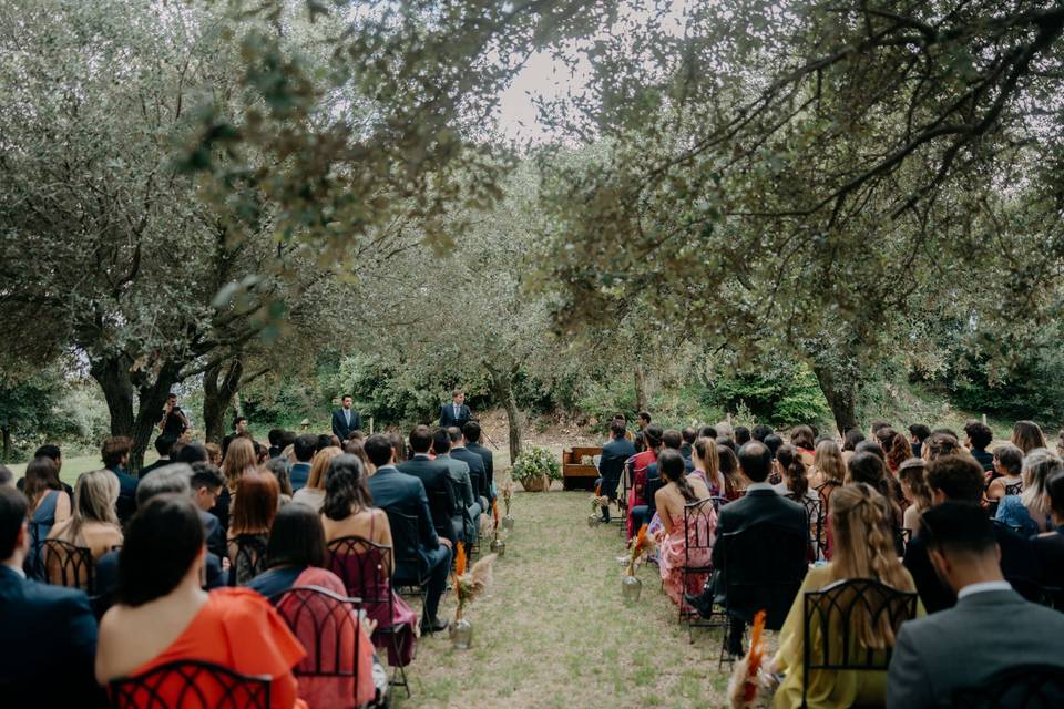 Ceremonia civil en el bosque