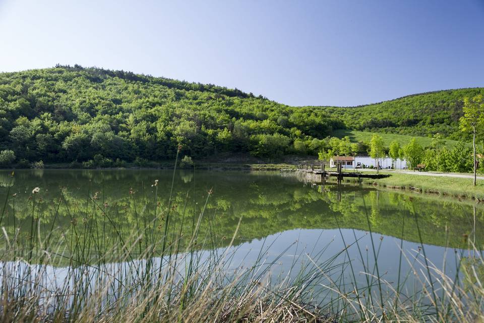 Finca Señorio de Beraiz