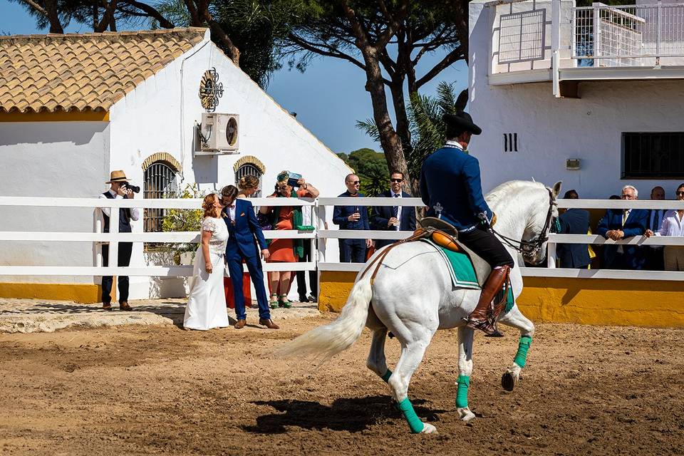Finca Yeguada el Chaparral