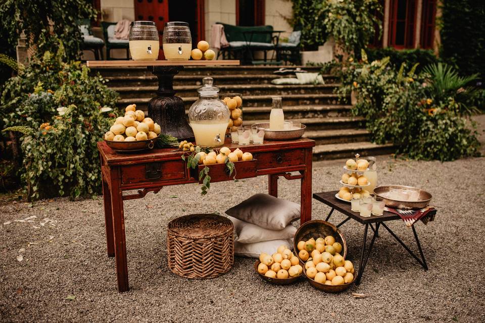 Finca Palacio de Arbaisenea